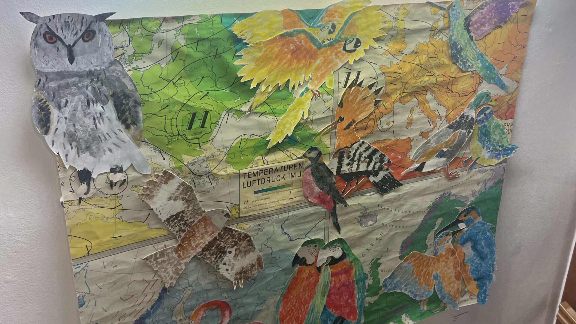 Von Affe bis Giraffe